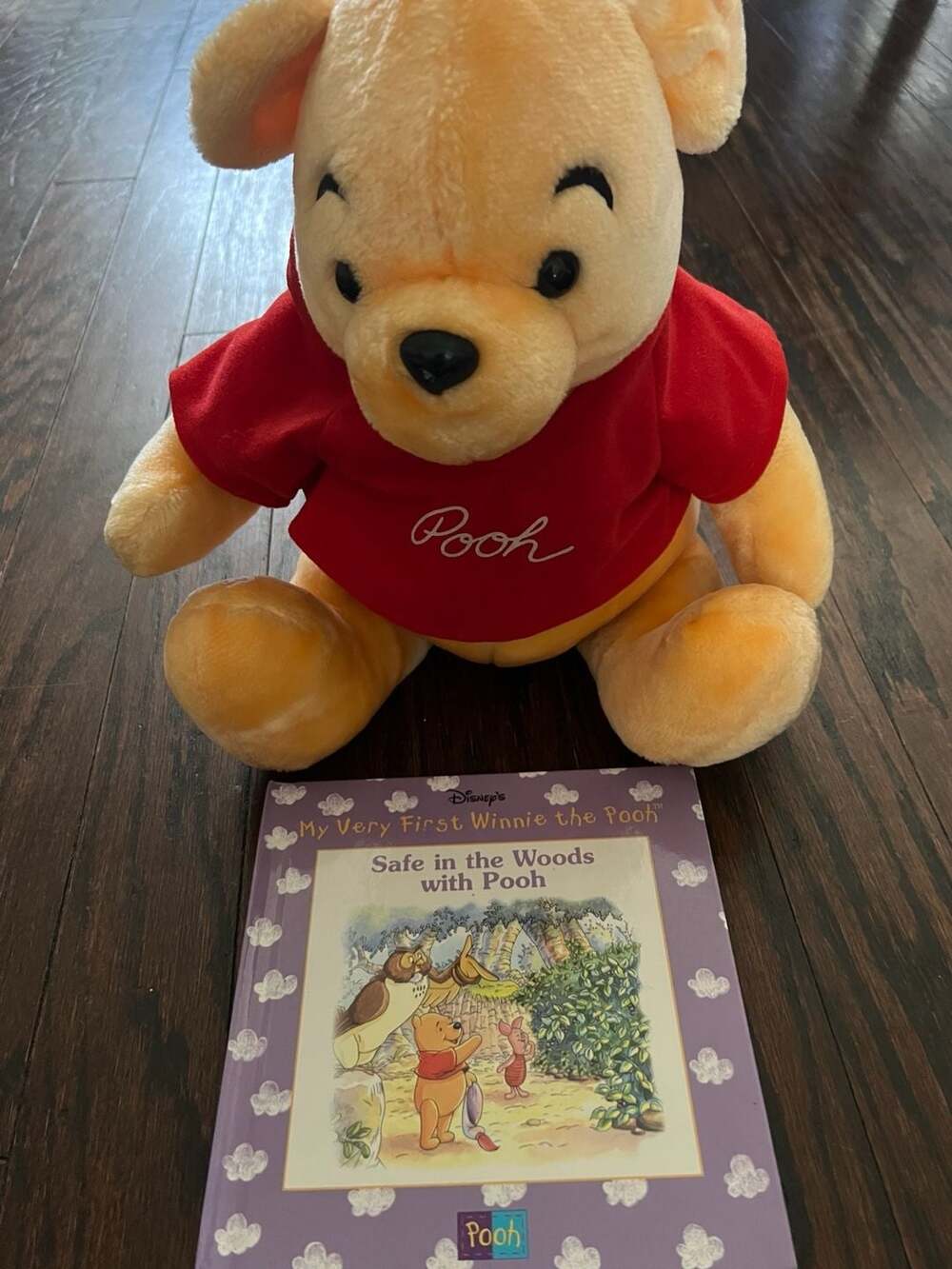 Winnie the Pooh Plush Stuffed Animal Red Shirt Disneyland Tag &Book